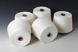 Sợi PE - Dinsan Yarn - Công Ty TNHH Dinsan